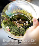 15-Piece Terrarium Kit with Live Moss – DIY Glass Globe Set with Tools, Soil, Stones & Spray Bottle – Indoor Mini Garden Gift for Plant Lovers, Home Decor & Zen Craft by CozyNest Decor