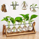 YIBOT Propagation Stations,Plant Terrarium with Wooden Stand,Plant Lover Gifts for Women for Hydroponics Plants Home Garden Wedding Decor(5 Bulb Vase) by CozyNest Decor