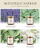 AOOVOO Candle Set - 4PC Scented Candles, 28 oz Soy Candles, Soy Candle for Home Scented, Sage/Jasmine/Eucalyptus/Lavender by CozyNest Decor