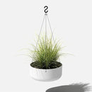 Veradek Mason Series Hanging Kona Planter - Round Planter for Outdoor Balcony/Patio | Made from Plastic-Stone Composite with Hanging Attachment | Modern Décor for, Flowers, Succulents, Small Plants by GreenHaven Gardens