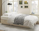VanAcc Sleeper Sofa, Sofa Bed- 2 in 1 Pull Out Couch Bed with Storage Chaise for Living Room, Comfy Sleeper Couch, Beige Chenille by CozyNest Decor