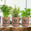 5 Herb Seeds Garden Starter Kit with Complete Planting Kit & Wooden Flower Box, Growing into Basil, Parsley, Rosemary, Thyme, Mint for Kitchen Windowsill Herb Garden DIY by GreenHaven Gardens