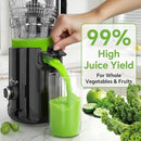 Cold Press Juicer - 5.3" Large Feed Chute Juicer Machines for Whole Vegetables & Fruits, 99% High Juice Yield, Quiet & Easy to Clean Slow Masticating Juicer, BPA-Free, Preserves More Nutrients (Black) by CozyNest Decor