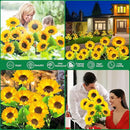 Outdoor Solar Garden Lights, 2024 Upgraded Waterproof Outdoor Solar Lights with 9 Bigger & Brighter Sunflowers, Garden Lights Solar Powered Outdoor Lights for Outside Patio Yard Decorations by GreenHaven Gardens