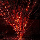 DAZZLE BRIGHT Halloween 300 LED String Lights, 100FT Connectable String Lights with 8 Lighting Modes, Halloween Decorations for Party Carnival Supplies, Indoor Outdoor Yard Garden Decor (Orange) by CozyNest Decor