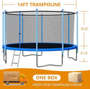 Trampoline with Enclosure - 12FT & 14FT Recreational Trampolines, Ladder, AntiRust Coating, ASTM Approved by TinyTreasures Baby Boutique