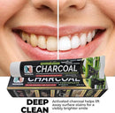 Activated Charcoal Whitening Toothpaste, Fluoride-Free, Enamel-Safe, Natural Mint Flavor, 6.5oz Tube for Stain Removal and Fresh Breath Pack of 1 by CozyNest Decor