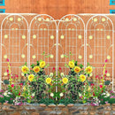 2 Pack Metal Garden Trellis for Climbing Plants 71" H Cream White Garden Fence Rustproof Trellis Support Roses Flower Outdoor Lawn, Cream White by GreenHaven Gardens