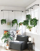 Plant Hanger Indoor, 2 Pack Hanging Planters Rod for Indoor Plants with 12 Hanging Chains, Wall Plant Hanging Rod for Window Ceiling, 65.7 Inch, Metal/Black, Pots Not Included… by GreenHaven Gardens