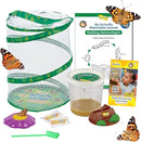 Insect Lore Butterfly Garden Kit - 5 Live Baby Caterpillars, Habitat, Feeder, Chrys-A-Lid Log, STEM Journal Included - Grow, Raise and Release Painted Lady Butterflies by TinyTreasures Baby Boutique