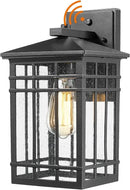 Dusk to Dawn Outdoor Wall Lantern,Exterior Wall Mount Light, 1-Light Outdoor Wall Lighting Fixture for Porch,Garage, Patio, Hallway and Entryway (Black-Wall Light, 1 Pack),DDAMS-W18 by GreenHaven Gardens