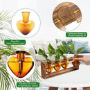 Plant Propagation Stations Heart Plant Terrarium Kit Gift for Women Plant Lover Glass Vases by GreenHaven Gardens