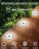 Coroor Solar Ground Lights, 12 LED Waterproof Garden Lights Outdoor Bright In-Ground, Solar Disk Lights Outdoor Decorations for Pathway Yard Lawn Patio Walkway Pool(20 Packs White) by GreenHaven Gardens