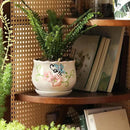 Ceramic Plant Pots with Drainage Holes and Saucers, Round Flower Pots for Indoor Plant, 3.9/5.2/6.7 Inches Flower Large Planters Set of 3 by CozyNest Decor