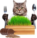Cat Grass for Indoor Cats Kit – Organic & Handcrafted Cedar Planter with Fast-Growing Wheatgrass for Cats, Hairball Remedy with Pet-Friendly Planter (Natural) by GreenHaven Gardens