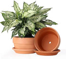 INGOFIN 8 Inch Terracotta Shallow Pots Set with Saucer - Ceramic Clay Pots with Drainage Hole, Terra Cotta Pot for Plants for Indoor Outdoor Plants, Set of 2 by CozyNest Decor