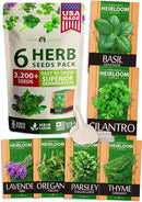 HOME GROWN 6 Herb Seeds for Planting 3,200+ Non-GMO Heirloom Seeds | Extra Large Variety Pack Herb Kit – Indoor Outdoor & Hydroponic | Culinary Seed Set | Grow Your Own Herbs | Gift for Beginners by GreenHaven Gardens