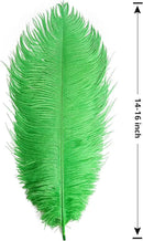 THARAHT Green Ostrich Feathers 12pcs Large Natural Bulk 14-16Inch 35cm-40cm for Wedding Party Centerpieces Mardi Gras and Home Decoration Feathers by CozyNest Decor