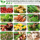 3 Pack Galvanized Raised Garden Bed Outdoor,Metal Garden Bed for Vegetables,Steel Raised Beds for Gardening,Above Ground Garden Box for Flower-50x20 inch by GreenHaven Gardens