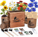Indoor Daisy Garden Starter Kit, 4 Flower Seeds Growing into Shasta Daisy, Cornflower, Sunflower, Zinnia, Including Complete Gardening Tools, Christmas Gifts for Women Men & Beginners by GreenHaven Gardens