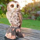 WONDER GARDEN Owl Statue Decor, Outdoor Resin Owl Figurine Sculpture for Home Porch Patio Lawn Yard Decorations or Housewarming Gifts by CozyNest Decor