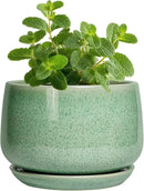 G EPGardening Ceramic Plant Pot - 4 inch Plant Pots with Drainage Hole & Saucer, Small Pots for Plant Indoor Outdoor, Modern Round Planter, Decorative Flower Pot, Room Decor, House Warming Gift, Green by GreenHaven Gardens