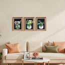 Walnut Wooden Frame Wall Hanging Planter for Hydroponic Plants，12'' x16''inch Wall Vase with Oblate-Shaped Acrylic Propagation Station，Bathroom, Office, or Living Room Decor, Set of 3 by CozyNest Decor
