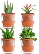 D'vine Dev 4 Inch Design Self Watering Planter for Indoor Plants, Terracotta Pot with Cylinder Glass Cup, Set of 4, 37-X-A-4 by GreenHaven Gardens