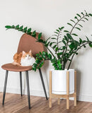 D'vine Dev Ceramic Planter with Natural Stand - 10 Inch Modern Round Flower Pot with Wood Planter Holder, White, 55-B-K-1 by CozyNest Decor