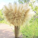 40" 22PCS Dried Pampas Grass Decor Tall,Large Natural Beige pompas Grass Tall Pampas Grass for Floor Vase,Wedding,Party,Farmhouse,Boho Home Decor,and Creating a Bohemian Ambiance by CozyNest Decor