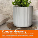 Amazon Basics Fluted Ceramic Round Planter, 10 in, White by CozyNest Decor
