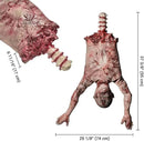 AW 37" Halloween Half Body Prop Skinned Hanging Corpse Torso Haunted House Party Indoor Outdoor Decoration 2025 by CozyNest Decor
