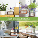 2pcs Desktop Glass Plant Propagation Station with 10 Test Tubes in Wooden Stand - Hydroponic Plants Cutting Office Home Decoration and Garden Decor Terrarium (10 Tubes) by GreenHaven Gardens