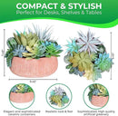 Premium Assorted Artificial Succulent Collection - Large Real Touch Artificial Cactus, Aloe Vera & Succulent Plants Artificial with Pots for Home Office Indoor (Artificial Coconut Shell - Pot) by CozyNest Decor