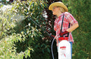 Solo 430-2G 2-Gallon Farm and Garden Sprayer with Nozzle Tips for Multiple Spraying Needs by GreenHaven Gardens