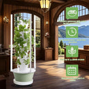 Hydroponic Growing System Kit with LED Grow Lights, Vertical Hydroponic Tower, Indoor Herb Garden, 32 Planting Pods,Lettuce Growing Garden by GreenHaven Gardens