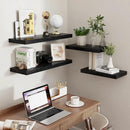 Fun Memories Black Floating Shelves 16 Inch Long, 9 Inch Deep Wall Shelf for Bathroom, 16 x 9 Floating Shelf for Living Room, Bedroom, Kitchen, Rustic Wood Shelves for Wall, Set of 2 by CozyNest Decor