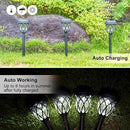 10 Pack Solar Lights Outdoor Garden Pathway Solar Powered Yard Lights for Walkway Sidewalk Driveway. by GreenHaven Gardens