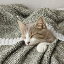MIULEE Super Soft Throw Blanket for Couch, Olive Green Cozy Fluffy Warm Blankets Lightweight Knit Throw Blankets for Sofa, Bed, Chair, Living Room, Camping, Picnic, 50 x 60 inch by CozyNest Decor