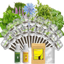 inbloom Herb Seed Pod Kit for AeroGarden, MUFGA, Ahopegarden, iDOO Hydroponic Growing System Indoor Garden, 18-Pod, 350+ Seeds Included Basil, Mint, Cilantro, Parsley, Shiso, Chicory, Liquorice by GreenHaven Gardens
