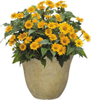 Classic Home and Garden Honeysuckle Resin Flower Pot Planter, Fossil Stone, 15" (Pack of 2) by GreenHaven Gardens
