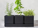D'vine Dev Herb Garden Planter Set, Plastic Plant Pots with Drainage and Saucer, Indoor Succulent Cactus Vegetable Pot for Windowsill, Garden Balcony, Black, Set of 1, 76-V-B-1 by GreenHaven Gardens