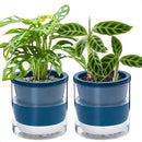D'vine Dev 6 Inch Design Self Watering Planter for Indoor Plants, Blue Terracotta Pot with Cylinder Glass Cup, Set of 2, 37-Y-B-4 by GreenHaven Gardens