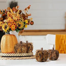naturevibe 4.3 Inches Elegant Feathered Pumpkin Decor Set of 4 for Thanksgiving Decorations, Natural Feather Pumpkins as Fall Home Decor,Centerpieces for Tables or Autumn Harvest Gifts by CozyNest Decor
