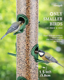 Bird Feeders for Outdoors Hanging,Finch Feeders for Outside,Chew-Proof Hanging Bird Feeder,Rust-Proof Birdfeeder,Squirrel Proof 6 Ports Metal Bird Feeder,14 Inch,1 Pack,Green by CozyNest Decor