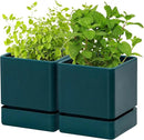 4 Inch Herb Planter Pot, Plastic Planter with Drainage Holes and Saucer, Modern Decorative Gardening Pot for Indoor Plants, Flowers, Herbs, Succulents, Green, Set of 2, 76-Y-C-2