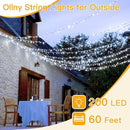 Ollny Outdoor String Lights 200LED 60FT, Cool White Connectable Plug in Fairy Light, 8 Modes Waterproof Timer Christmas Lights for Indoor Outside Bedroom House Party Wedding by GreenHaven Gardens
