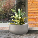 Kante 11.8" Dia Round Concrete Planter, Cement Plant Pots with Drainage Hole and Rubber Plug for Outdoor Indoor Garden Home, Modern Curvaceous Design, Weathered Concrete by GreenHaven Gardens