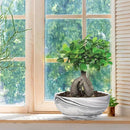 G EPGardening 8in Marble Pattern Large Round Succulent Planter Pot Modern Flower Pot Indoor and Outdoor Planter with Marble Tray