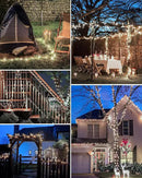 6 Pack Solar Fairy Lights for Outside Waterproof, 49FT/15M 150LED Solar String Lights Outdoor 8 Modes Solar Twinkle Lights for Garden Yard Christmas Tree Wedding Party Decor, Cool White by GreenHaven Gardens